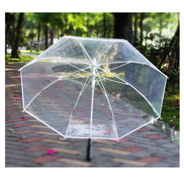 Automatic transparent PVC acrylic LED POE umbrellas 7 colour lighting windproof environmental protecting EVA battery parasol