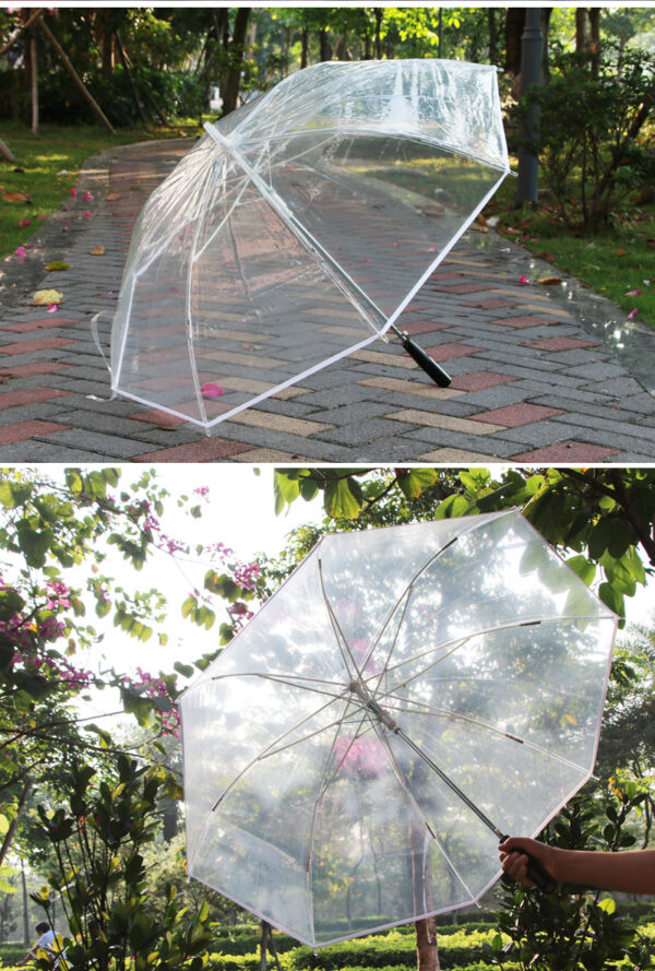 Automatic transparent PVC acrylic LED POE umbrellas 7 colour lighting windproof environmental protecting EVA battery parasol