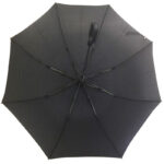 Custom 2 fold auto rain gear promotion U hook telescopic cherry premium umbrella