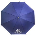 Anti-thunder Led Bellagio Europe promotion long handle windproof fiber safe umbrella