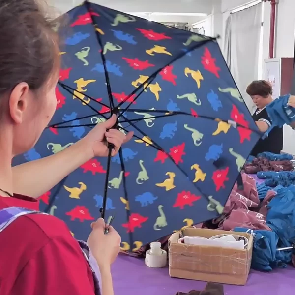 About Creative Umbrellas